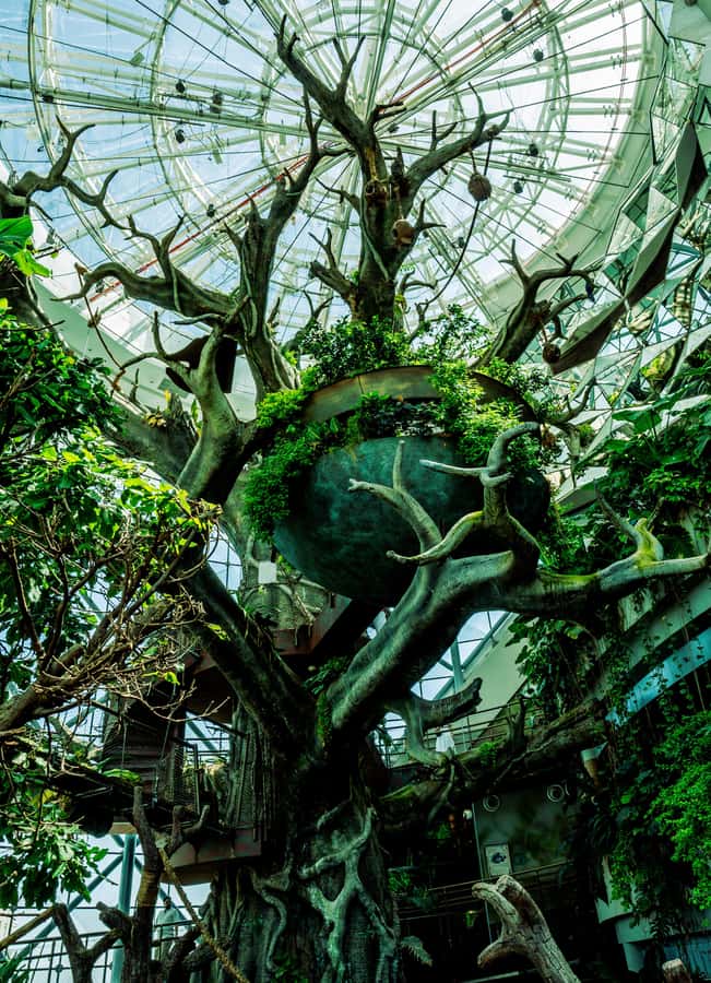 The Green Planet - Dubai's Unique Indoor Rainforest - The Indoor Rainstorm and Thunder: Why It Works in Dubai