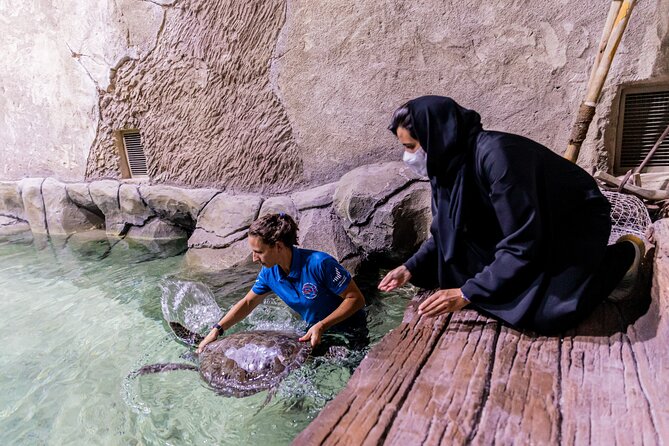 The National Aquarium Abu Dhabi Admission Tickets - Optional add-ons: Beyond the Glass and the glass-bottom boat