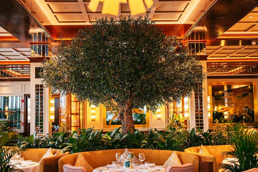 The View Fast Track with an Italian Lunch at Signor Sassi - Signor Sassi lunch, and what Andiamo A Pranzo means for your afternoon