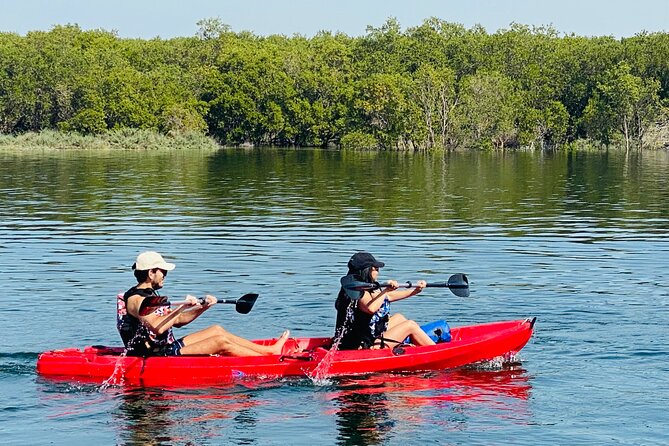 Two Hours Guided Kayaking Tour Reem Central Park Abu Dhabi - Price and value: is $83.74 for 2 hours fair?
