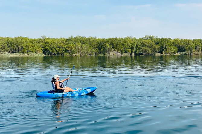 Two Hours Guided Kayaking Tour Reem Central Park Abu Dhabi - Practical tips that make your kayaking smoother