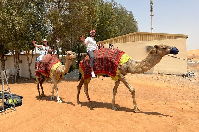 Vip Desert Safari Dubai with Camel Riding BBQ Dinner & Live Shows - Should you book this VIP Desert Safari Dubai?