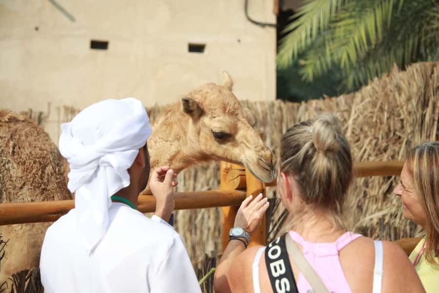 Walking Tour in Old Dubai.with Local Friend - Al Fahidi: wind towers and the feel of older Dubai